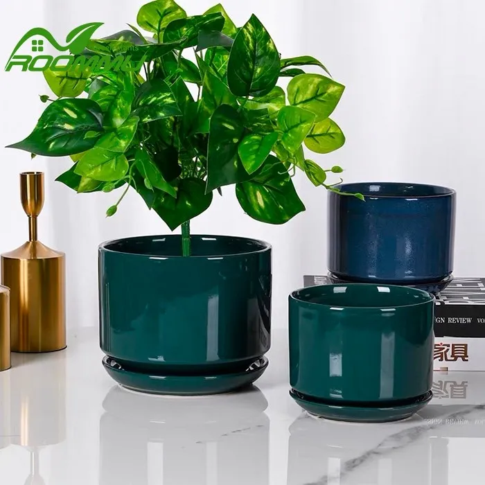 modern plant pots indoor